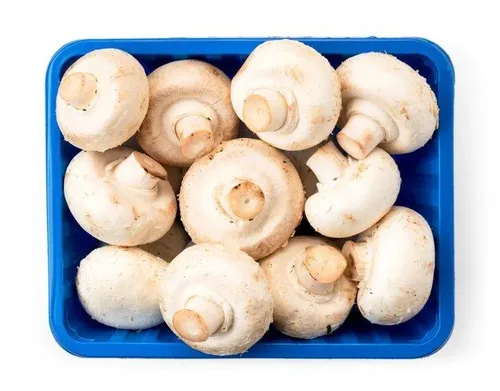 מארז פטריות שמפניון