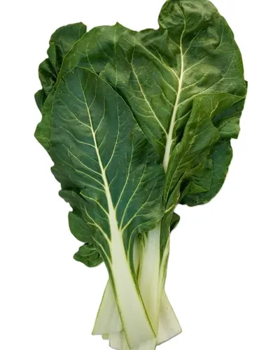 סלק עלים מנגולד