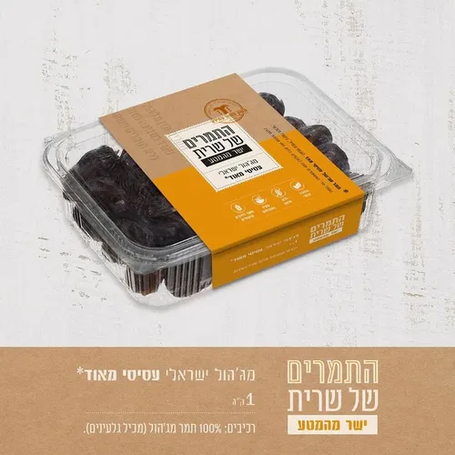 תמר עסיסי של שרית